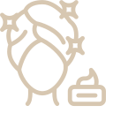 Bruno Flaujac Coiffure